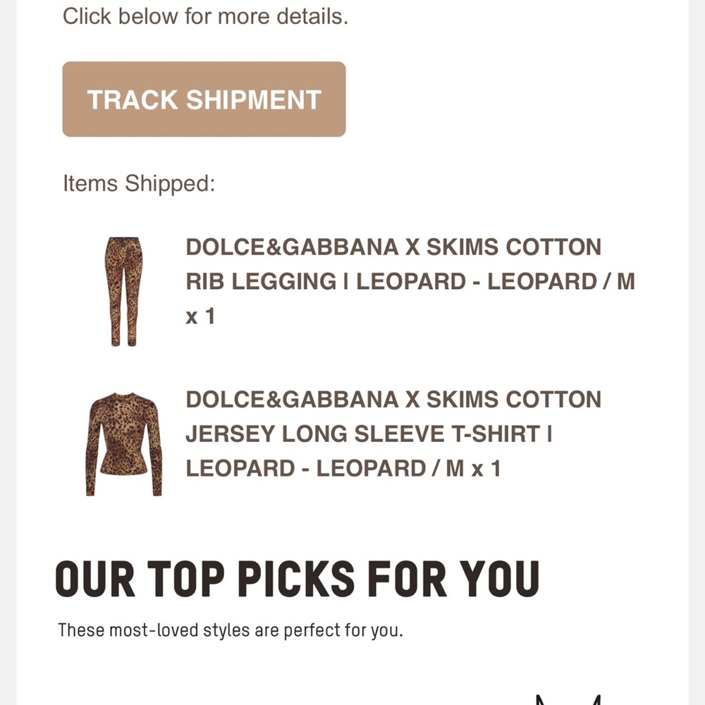 Dolce & Gabbana x Skims Leopard Print Set